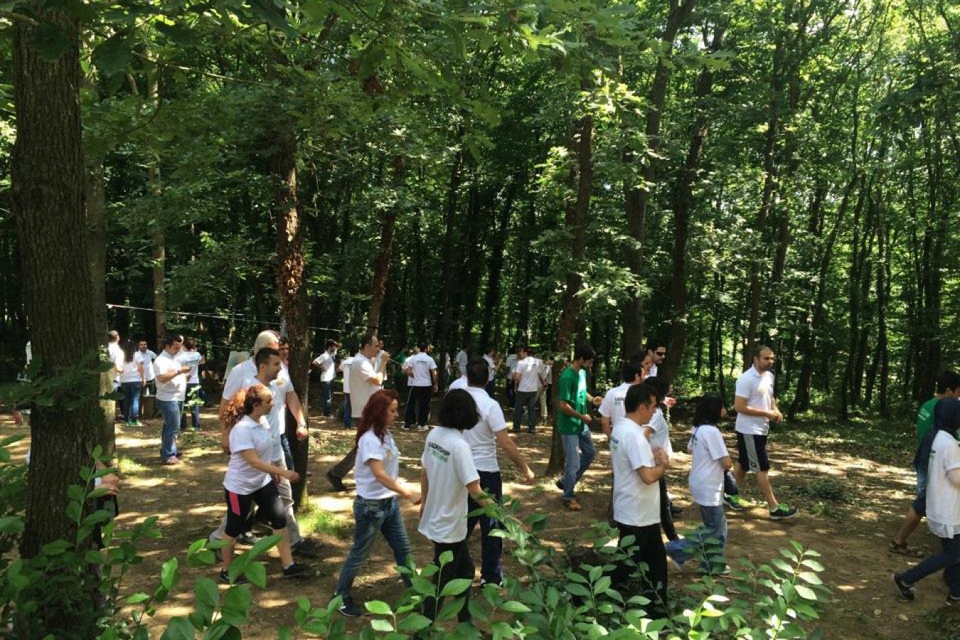 Avea Türkiye Outdoor
